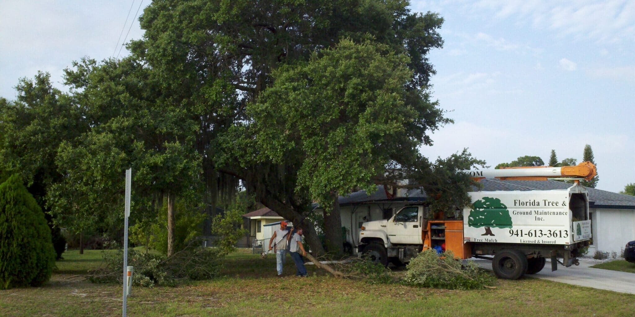 14 Beautiful Florida Oak Trees