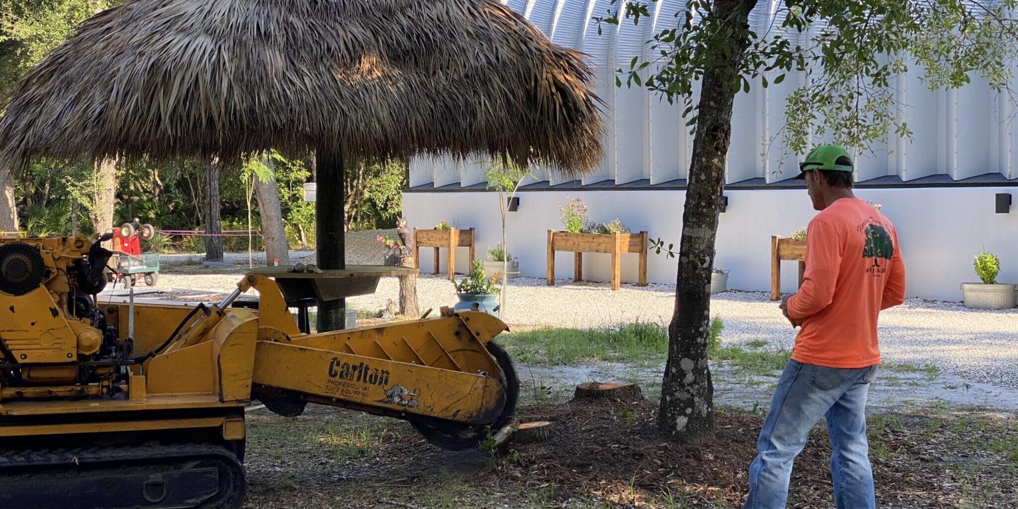 3 Keys to Understanding a Tree Stump Grinder