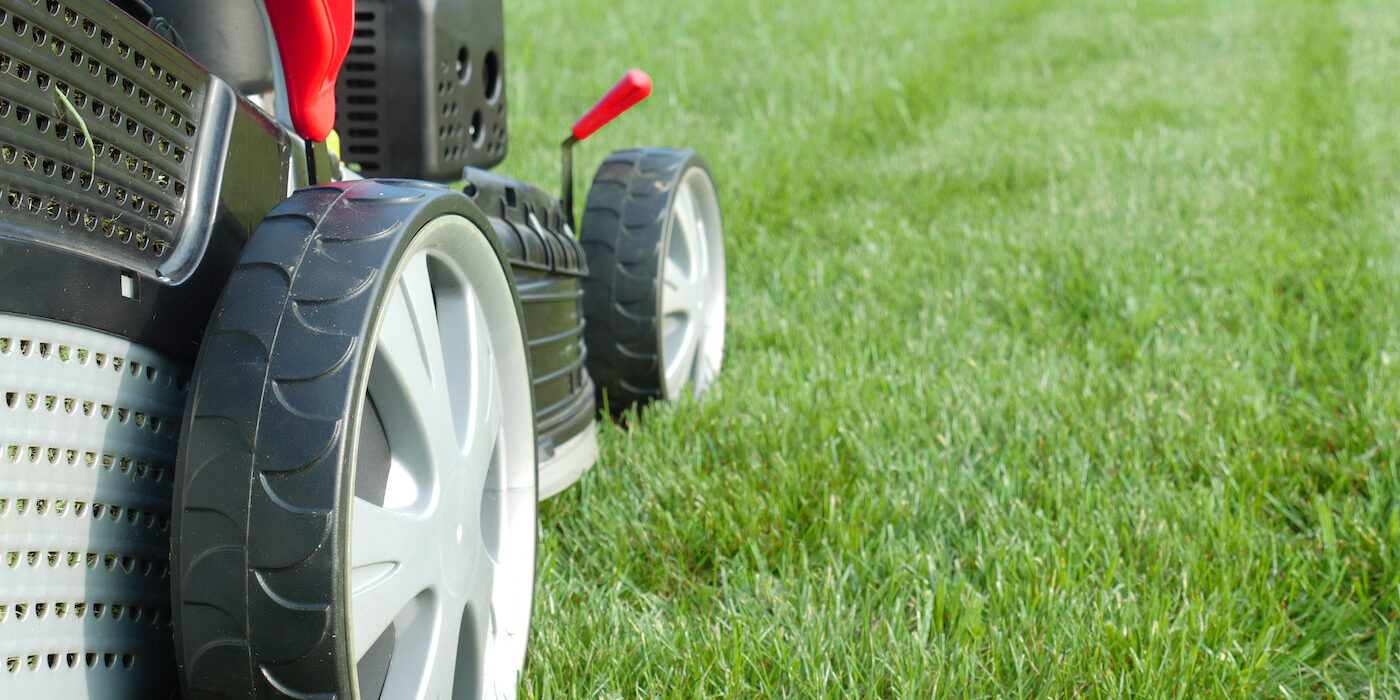 4 Reasons To Regularly Mow Lawn