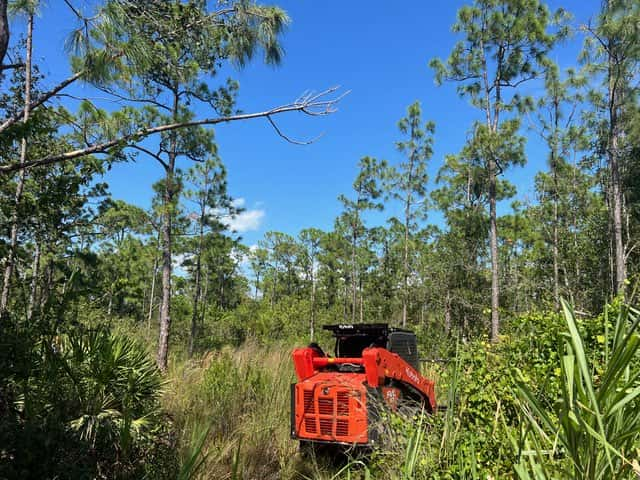 Forestry Mulching 2 of 4 (Before).