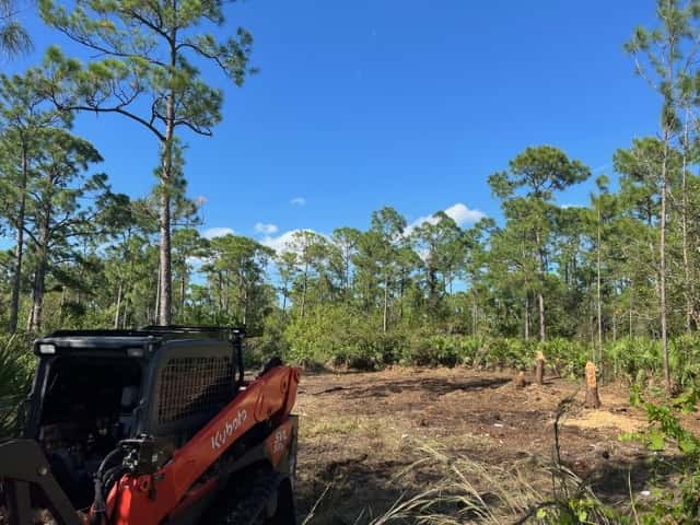 Forestry Mulching 3 of 4 (After).