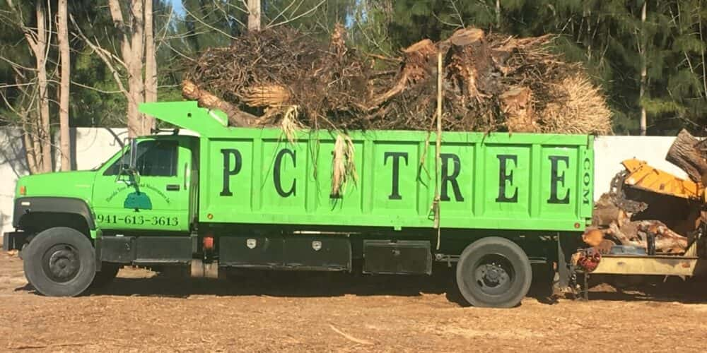 Professional bobcat land grading.