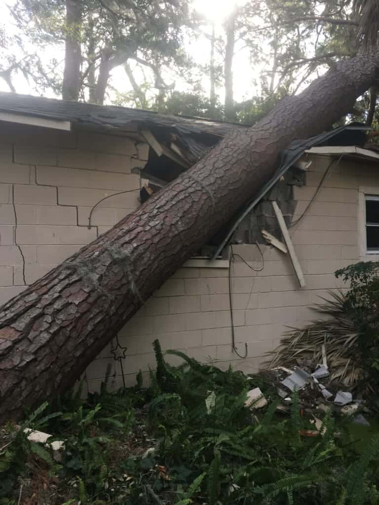 Port Charlotte 24/7 Emergency tree removal.