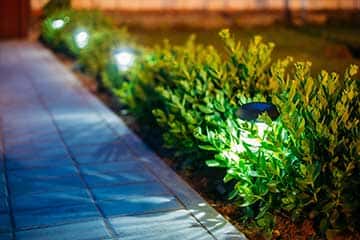 Landscape Lighting | Florida Tree & Ground Maintenance