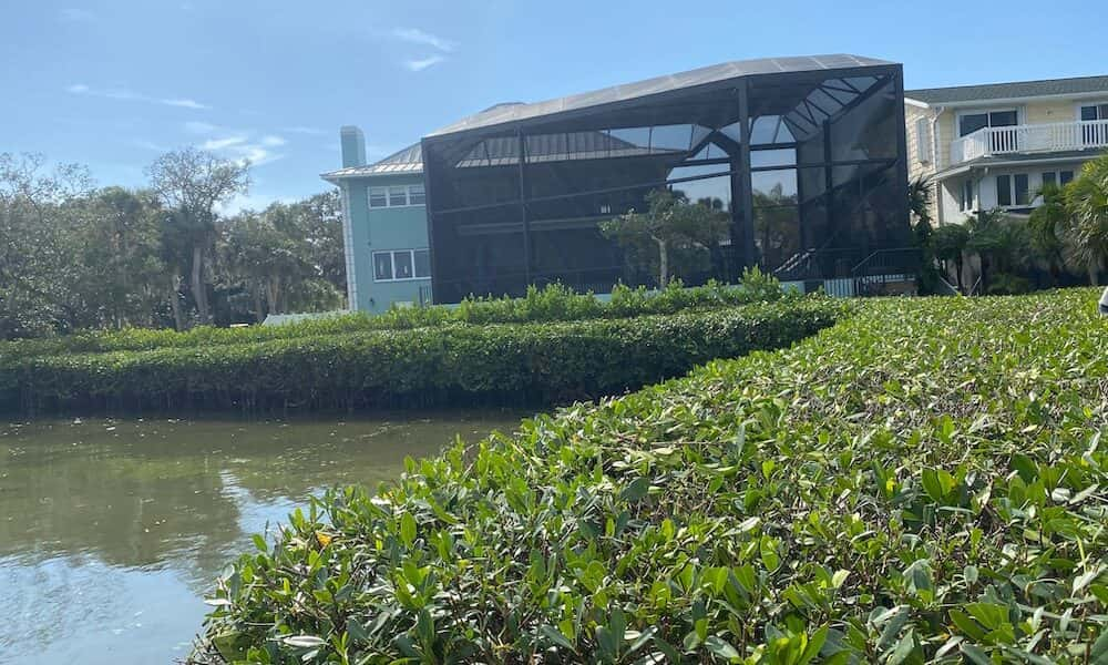 Mangrove tree trimming in Punta Gorda, FL.