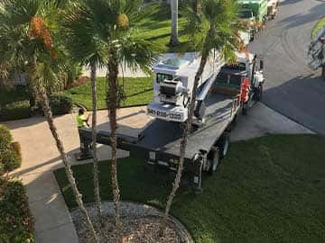 Southwest Florida residential tree and ground maintenance services.