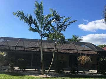 Tree installation, tree care, and arborist services in Southwest Florida.