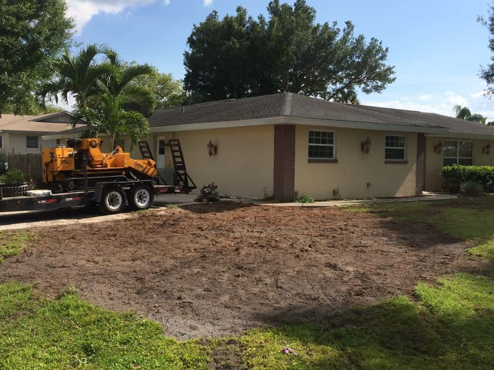 After Stump grinding in Port Charlotte, FL.